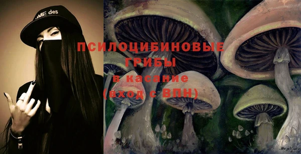 PSILOCYBIN Богданович